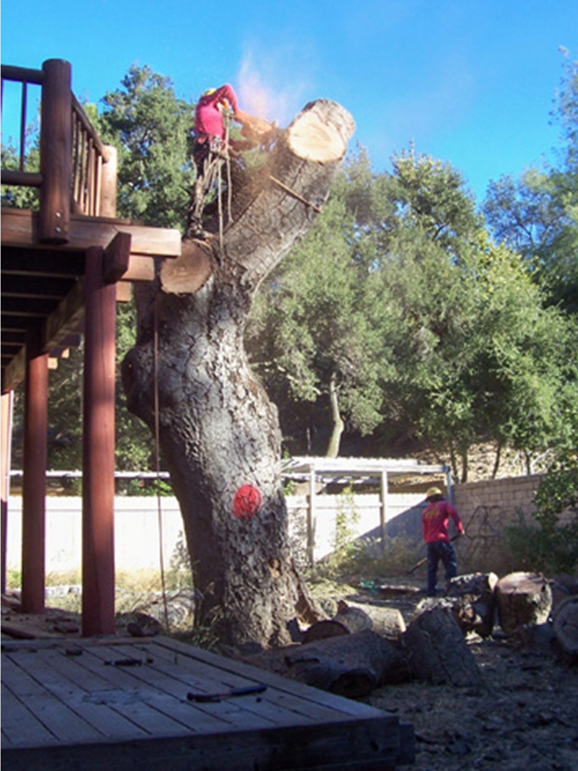 24 Hour Emergency Tree Service, Mission Viejo Tree Services