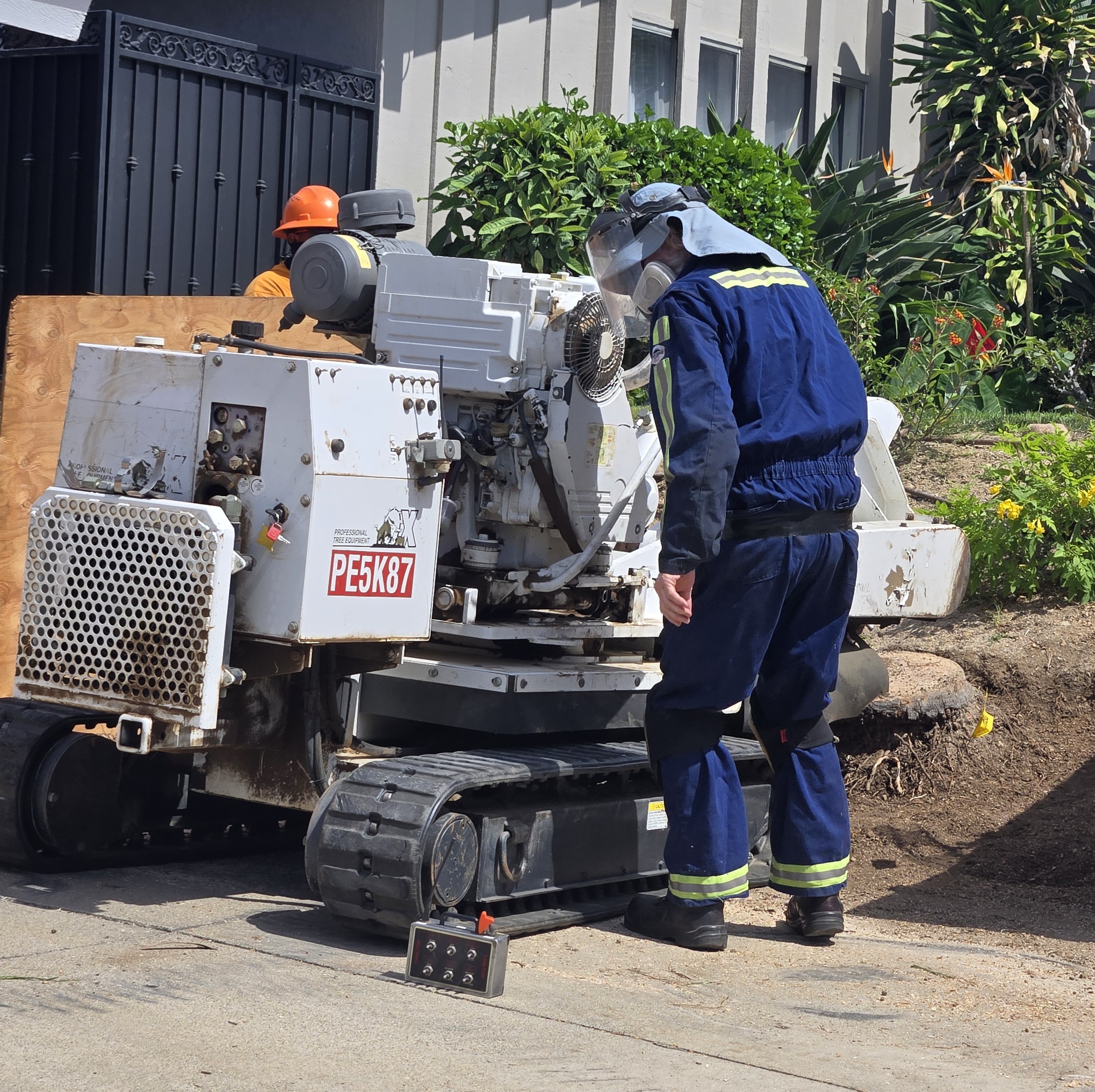 Stump Grinding, Yorba Linda,