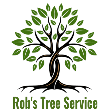 Placentia Tree Services, Tree Trimming & Removal